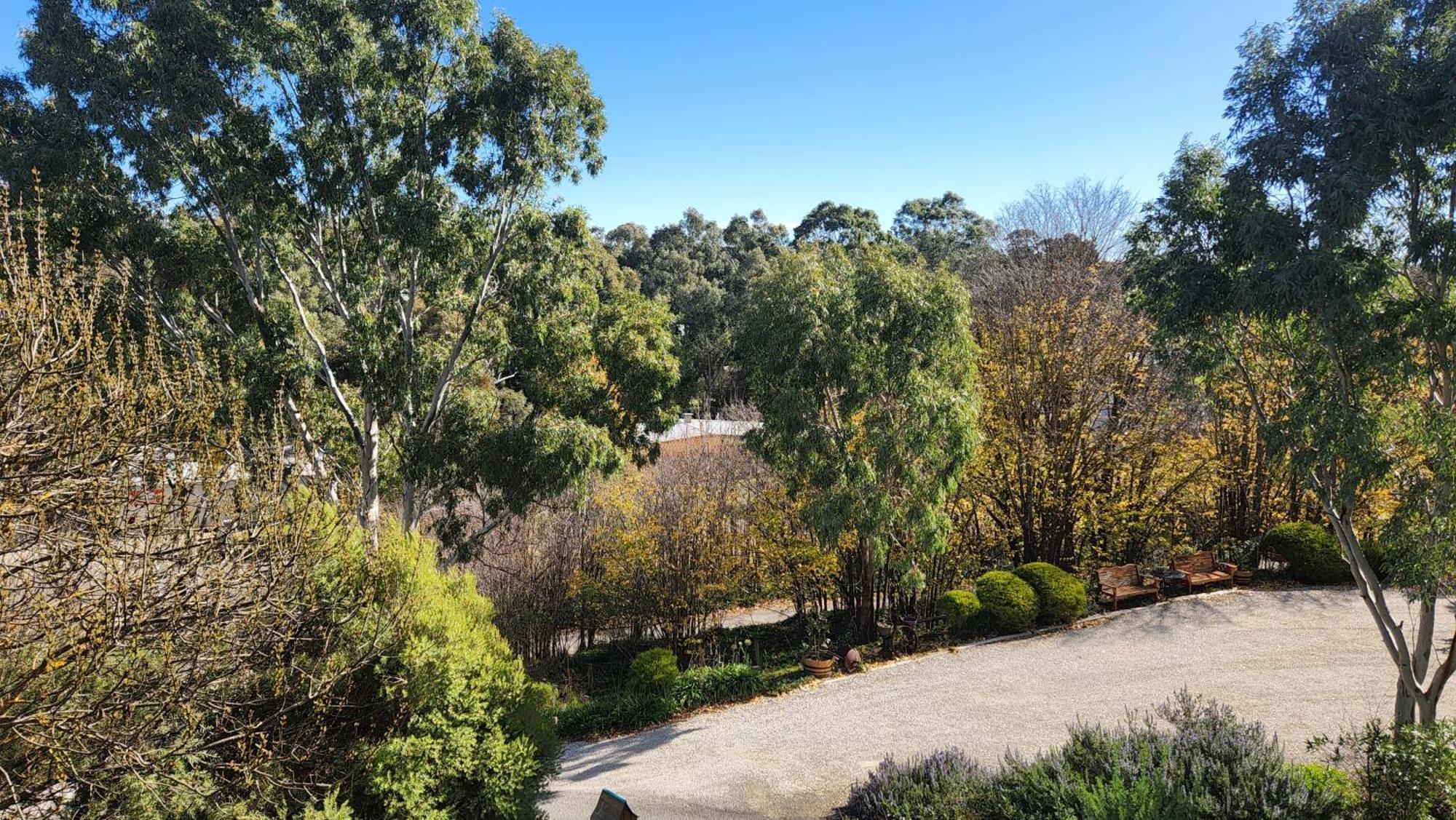 Riesling Trail & Clare Valley Cottages Habitación foto
