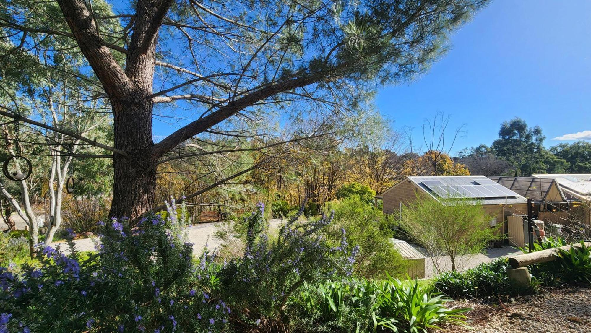 Riesling Trail & Clare Valley Cottages Habitación foto