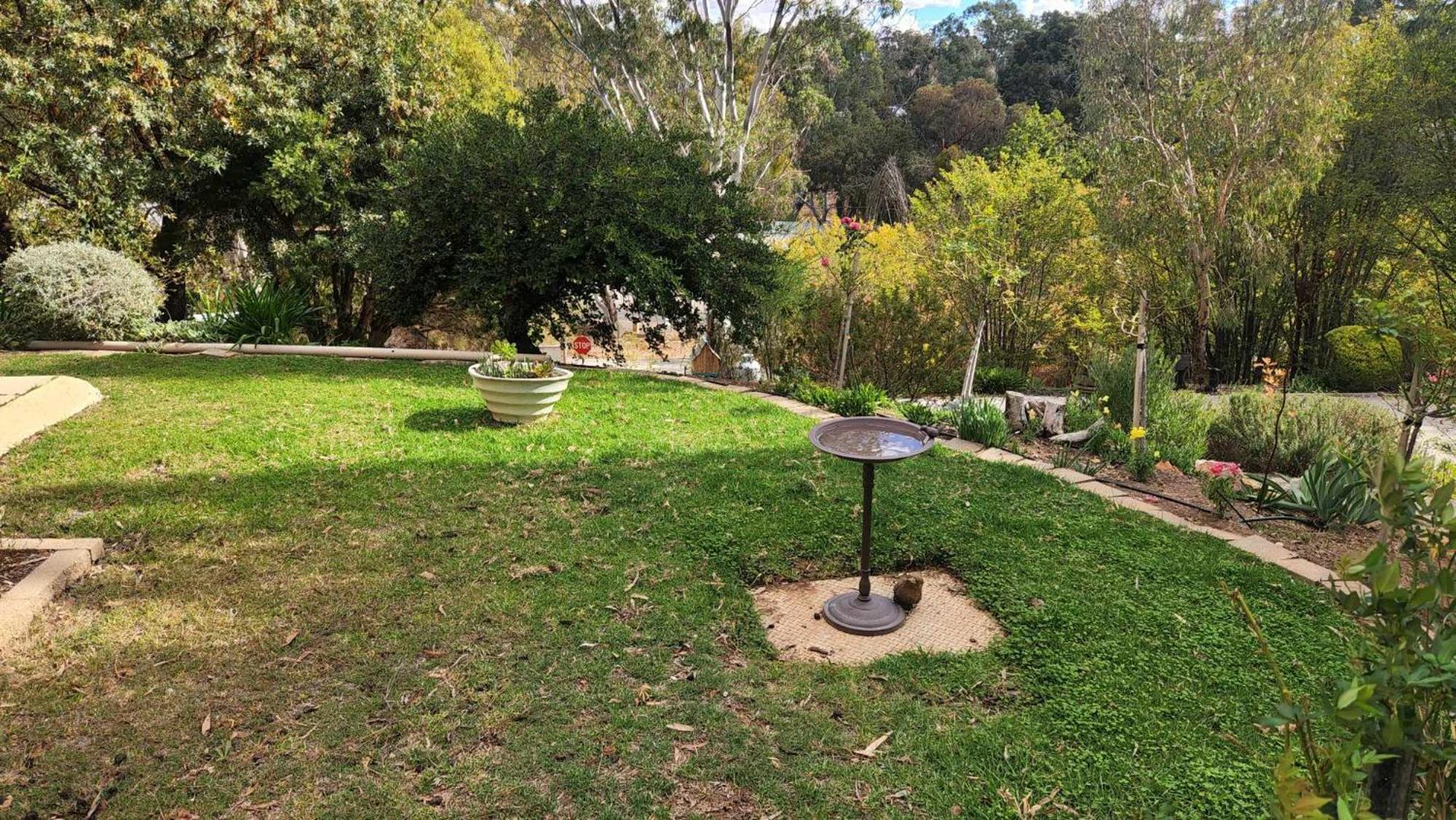 Riesling Trail & Clare Valley Cottages Habitación foto